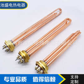 厂家供应 DN40全铜烧水电热管水箱加热铜头电加热管6KW/9KW/12KW