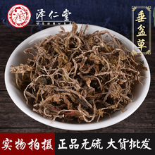 ��������ș�� ����� ʯָ�� ��ײ� ��؛�o�� Ҏ���Rȫ ֧��ș�z