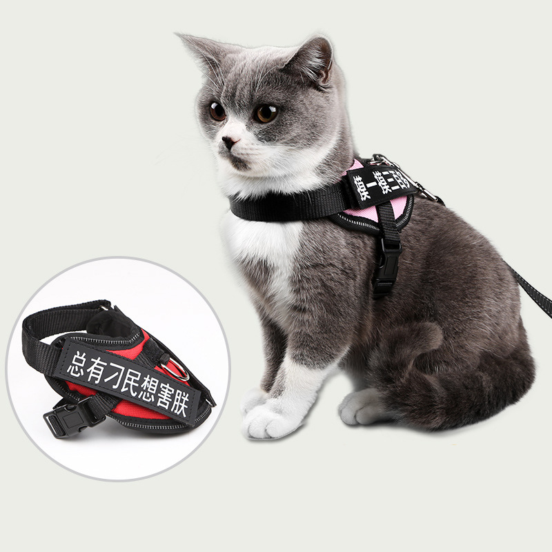 Cuerda de tracción para gatos para evitar el liberarse