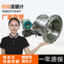 彎管文丘里流量計管機翼測風裝置高溫熱風空氣氧氣焊接噴嘴流量計