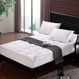 羽绒枕;羽绒被;靠垫/抱枕