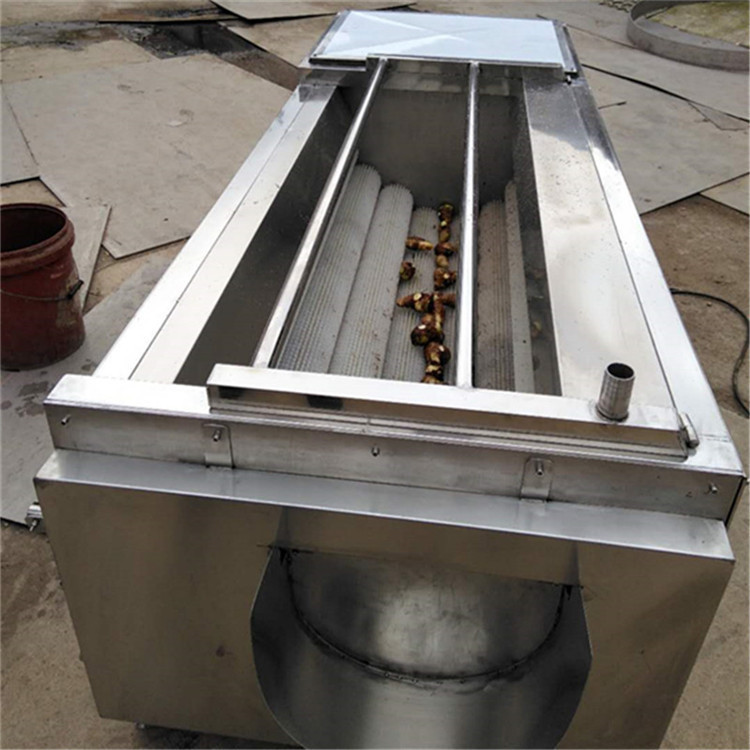 汇康海蛎毛辊清洗机 红薯除泥设备 火烧羊头快速洗污机价格优惠