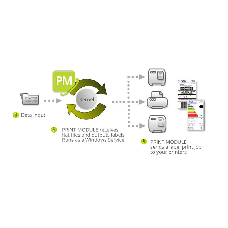 TEKLYNX PRINT MODULE 2019 ERP SAP WMS�������ǩ��ӡ�������