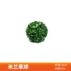 Milan Grass Ball (Outer diameter 13cm)
