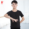 红舞鞋 Bo Cotton Men's Short -sleeved Dance Top Adult Practice Terring Term T -shirt Dance Service 30292