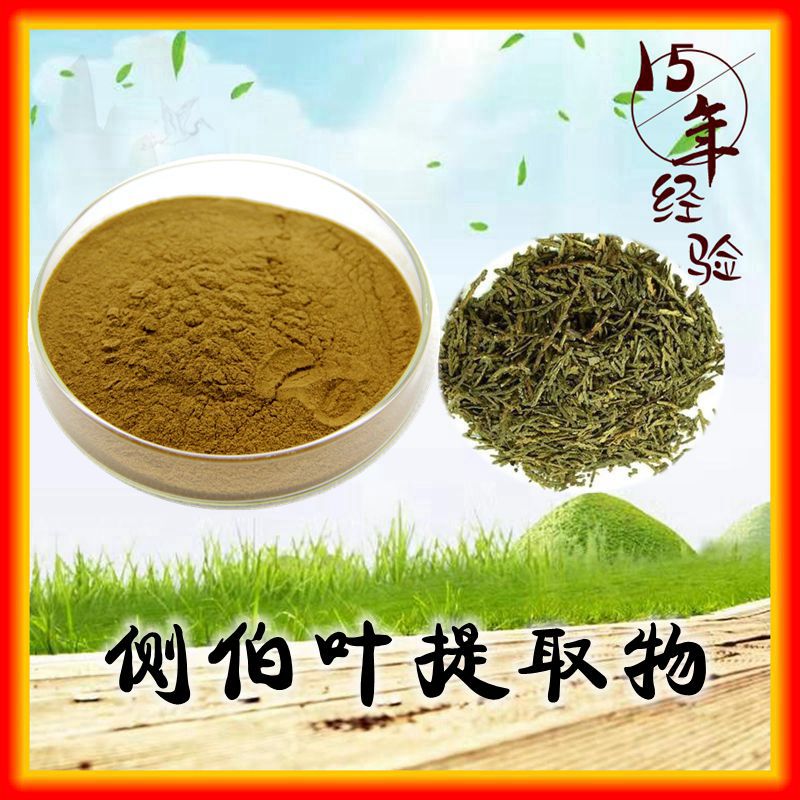 侧柏叶提取物 10：1 侧伯叶浓缩粉 天广源生物  现货供应   包邮