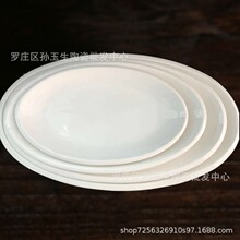 �F؛���יE�A�~�P ������߅�~�P �Ƶ���^�~�P �����մ��~�P���u