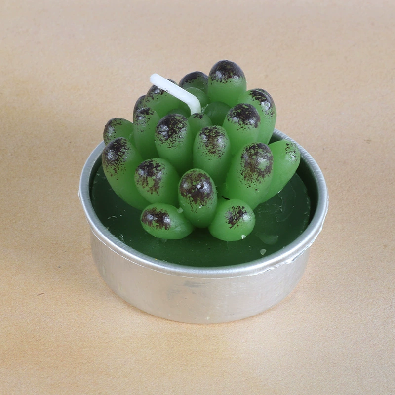Набор декоративных свечей для растений — горшочки для суккулентов и кактусов, чайные свечи, разные стили и размеры