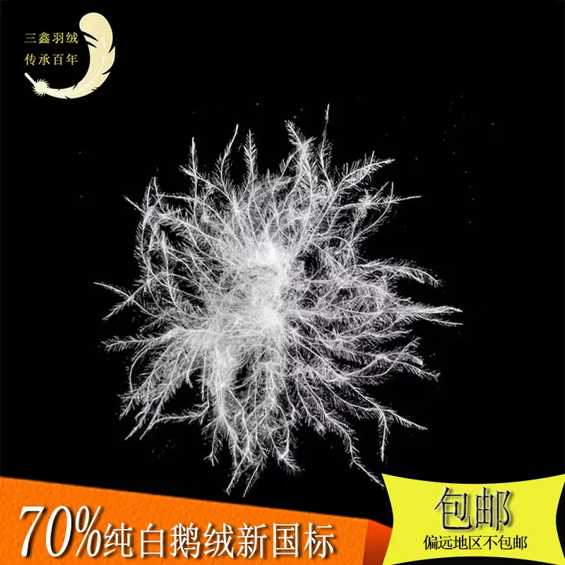 羽绒厂家批发水洗大朵70白鹅绒服装纺织羽绒被填充物羽毛鹅毛现货