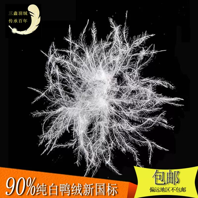 厂家批发水洗羽绒羽毛新国标纯白90白鸭绒服装纺织制品填充物