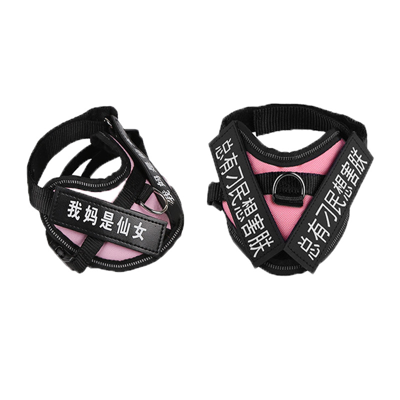 Cuerda de tracción para gatos para evitar el liberarse