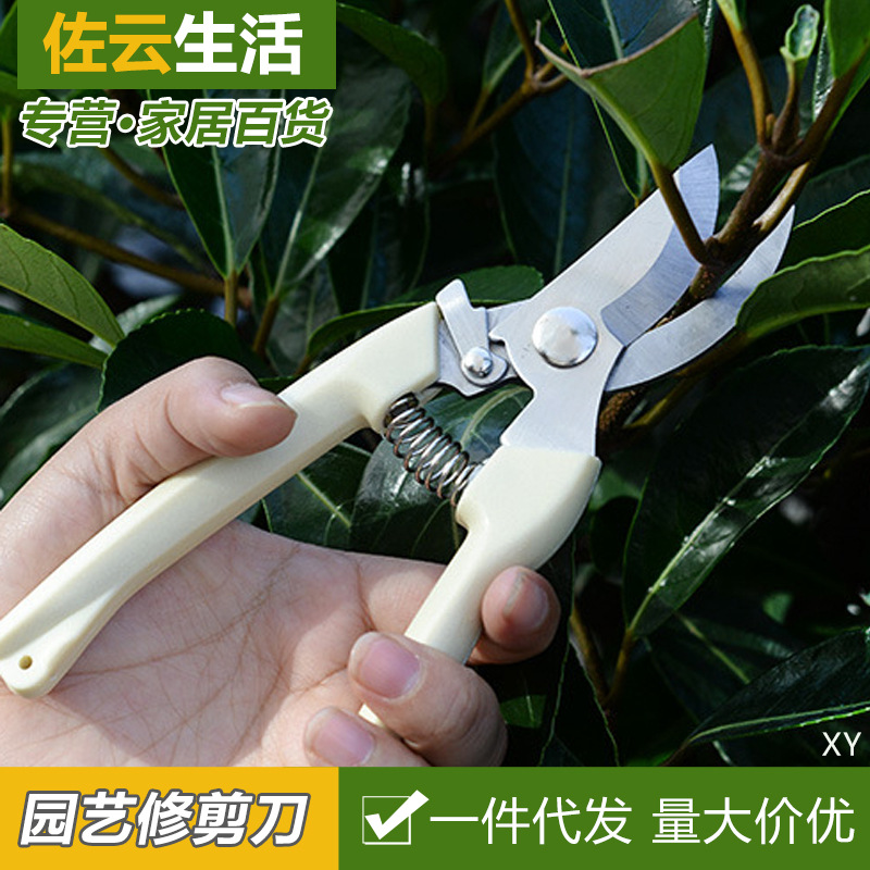 树枝剪刀不锈钢修枝剪摘水果花木剪园林果树花枝花园修理园艺工具