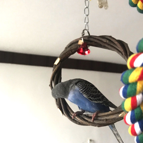 Parrot hanging ring, bird swing, apple branch braided ring, bird stand, rattan ring chewing toy bird cage