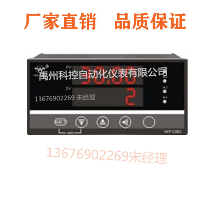 WP-D808A-02-08-N/ WP-D808A-02-09-HL上润八路巡检仪