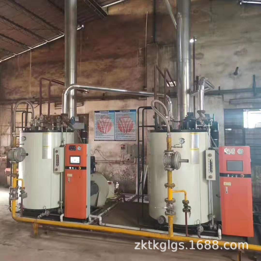 厂家直销3吨贯流式燃气锅炉 LSS3-1.0-YQ立式贯流蒸汽锅炉价格