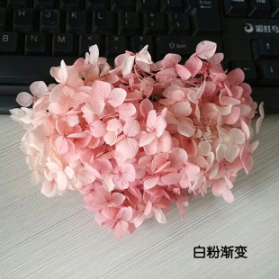 С�~�����������u׃�����pɫ��������Ϧ�Y�л����仨���20g