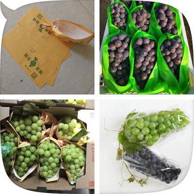 现货批发葡萄包装袋淋膜纸袋多规格阳光玫瑰保鲜环保定制礼品|ms