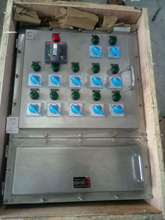 增安型防爆接線箱 粉塵車間印染碳鋼檢修電源儀表按鈕配電箱 浙創