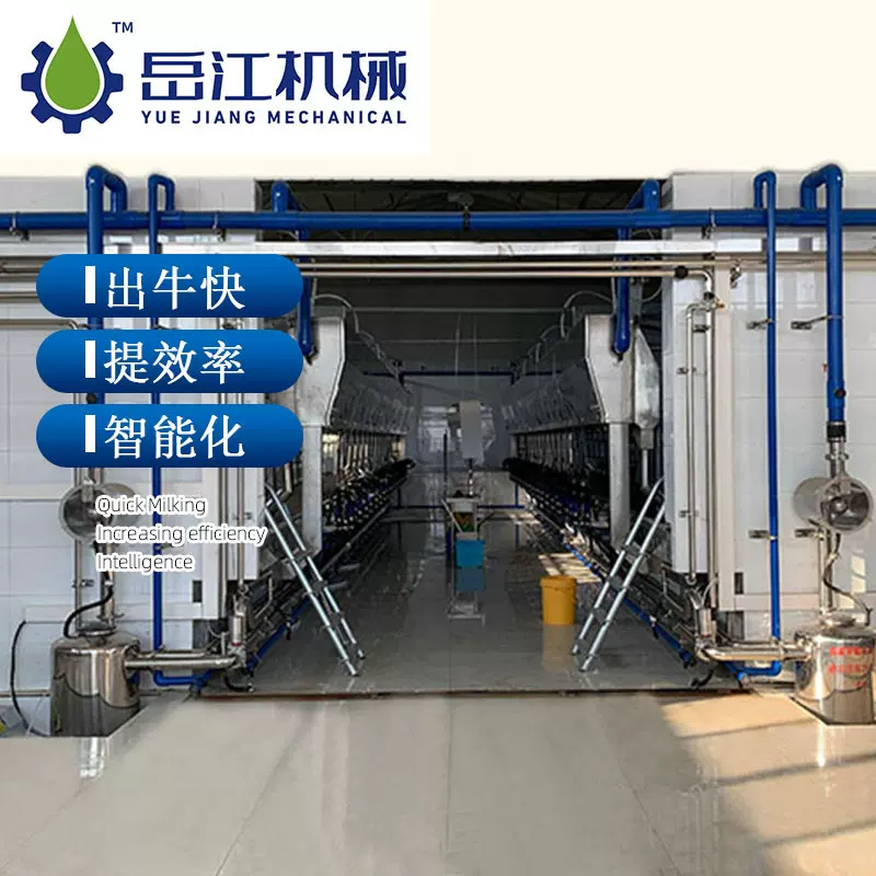 定制厂家阿菲金管理软件 100位并列式数字化牛奶挤奶机 乳品机械