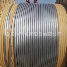 厂家直供LGJQT900/40特轻型钢芯铝绞线 超高压特种导线 次母线