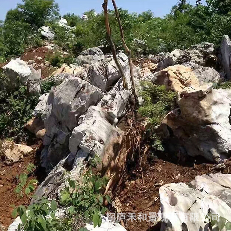 天然太湖石窟窿石园林奇石观赏鱼池假山石造型景观原石石材