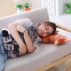 Realistic three dimensional pillow, plush toy, children's appeases doll, in 3d format, cat, wholesale