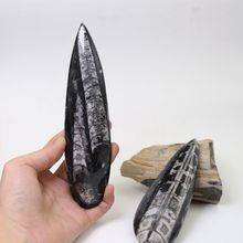 ־���͹����ﻯʯֱ��ʯ��ʯԭʯ�ź������ﻯʯԭʯ���ս�ѧ�걾