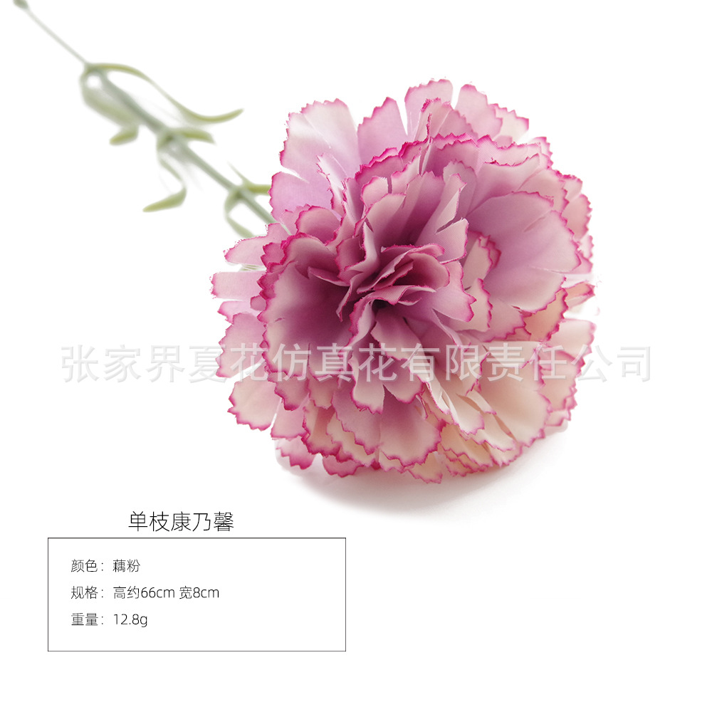 연꽃 뿌리 전분
