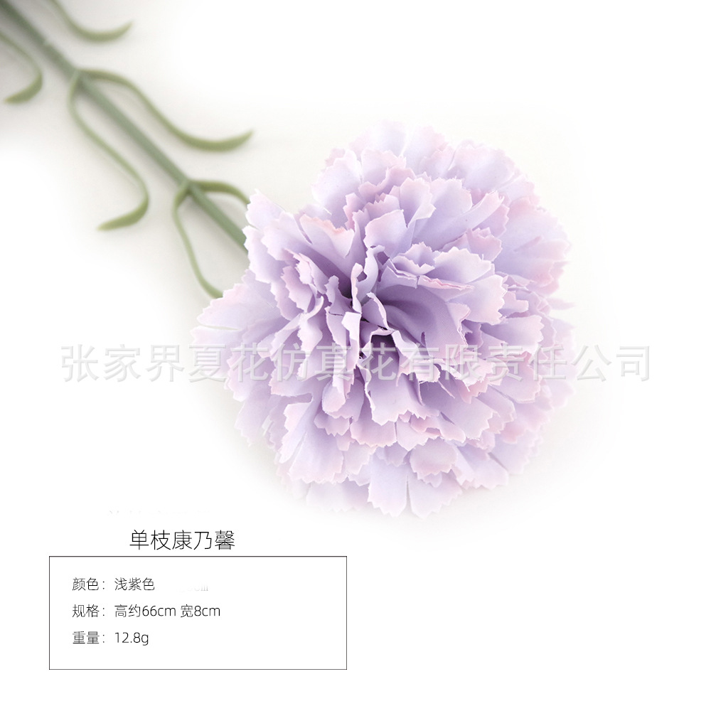 라이트 퍼플