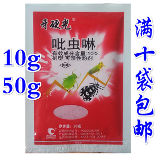 10%���x������ș����ș���x��ā�x���x�wʭ���xș10��
