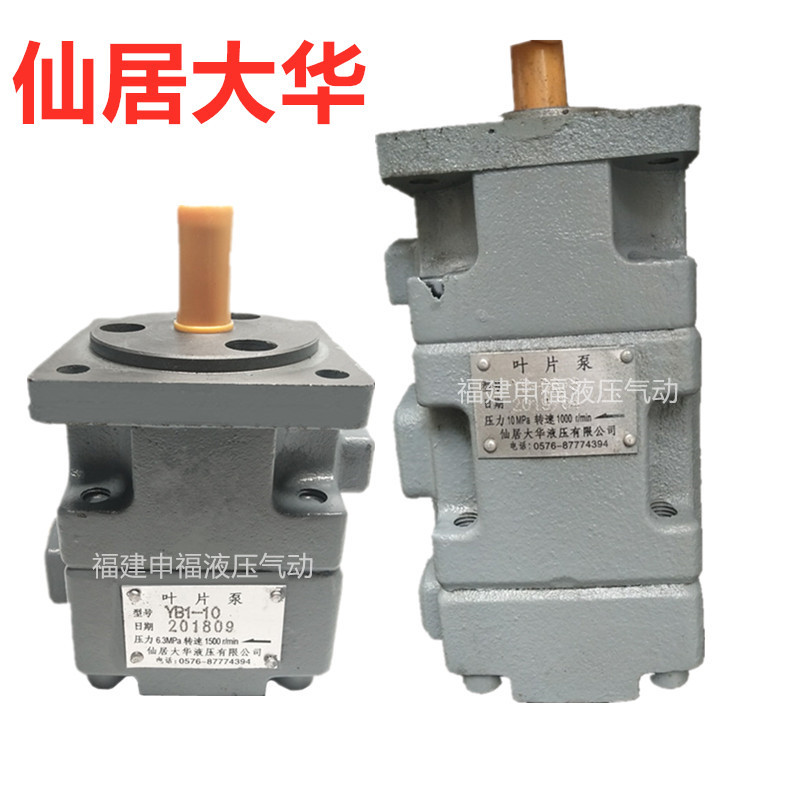 仙居大华液压双联叶片泵YB1- 2.5 4 6.3 10 12 50 63 80 液压油泵