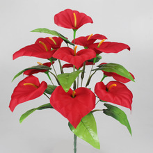 Ƽٻ滨12^ⲼRɏѻ@ˇ[ŁRɏ