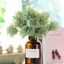 ���滨���ϾGֲ����ֲ��廨��� 5֦�� �������m�ݽ��X�~���l