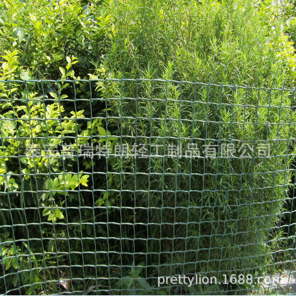 厂价优惠直销供应塑料双向拉伸网防鸟网BOP拉伸网HDPE高强力