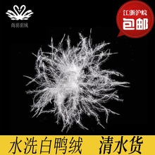 厂家供应羽绒羽毛批发水洗高蓬松纯白无异味东北大朵清水鸭绒