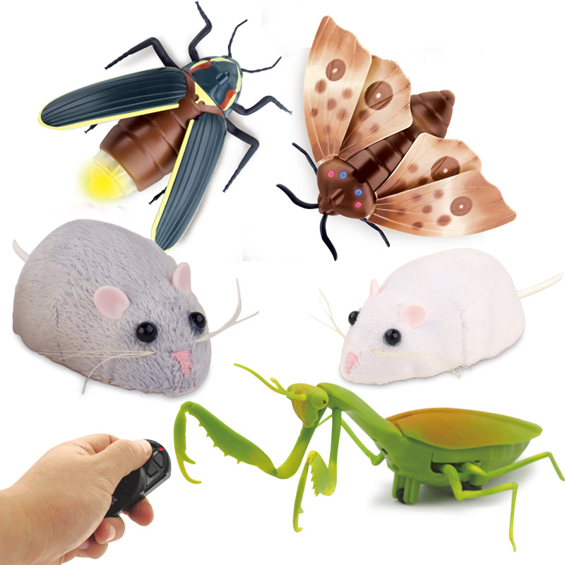 Original suministro directo de fábrica nuevo exótico infrarrojo control remoto insecto eléctrico juguete eléctrico Caracol ratón truco parodia