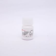 T8150 �ȵ���ø1:250     9002-07-7  �ȵ���ø  ��ø ��ɫ
