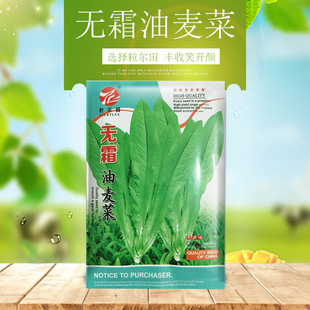 20�˟o˪���������˷N�� ¶�ش����߲˻��طNֲ�ļ�����e�Nֲ