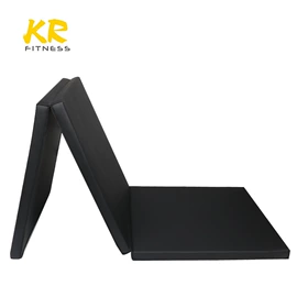 其他健身器材;体操/运动垫;田径用品