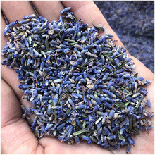 4A法国蓝花粒薰衣草香料干花香包填充真花花朵风干狭叶薰衣草扩香