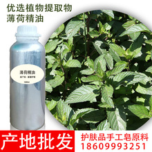 新疆伊犁69团椒样薄荷精油 单方精油 植物香料无勾兑 产地批发