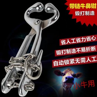 ������ţ���Q�����Q���P��Q�ӎ��ţ�ǊA��ȫ���P���ţ���Q