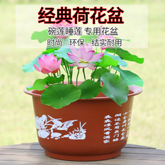 Thick Lotus Plate Bowl Lotus Pot Water Lily Pot Resin Plastic Flower Pot No Hole Hydroponic Large Flower Pot Wholesale Manufacturer