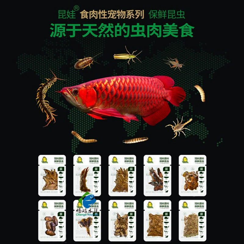 Свежие насекомые для корма рыб: сверчки, жуки, мотыльки, тараканы, пшеничные жуки, скорпионы, коконы шелкопряда, жуки-пилигримы.