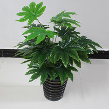 �S�ҷ���ֲ���Ӽ��k��������b����Է���˽ǽ������ϾG�}�辰