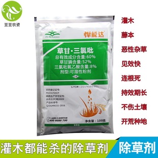 �����_ Ѹ���ݸ� ������60%�ݸ���������������s�ݳ��݄�����ľ