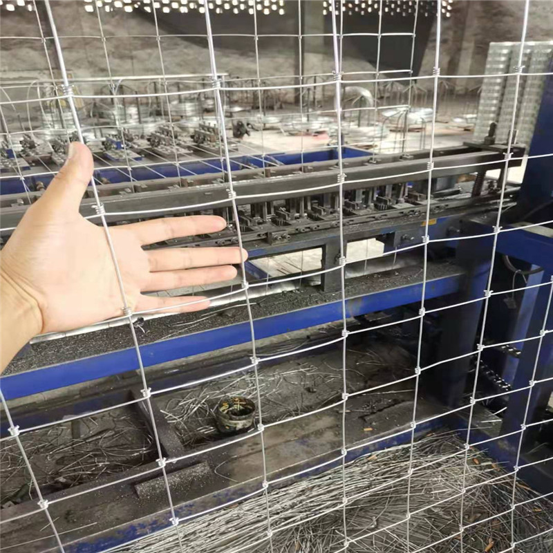 四川编结网 厂家  退化草地综合治理围栏网  编结网围栏