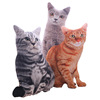 Realistic three dimensional pillow, plush toy, children's appeases doll, in 3d format, cat, wholesale