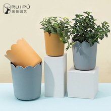 新创意北欧风加厚花盆塑料加仑盆家用种植盆阳台月季绿箩花盆透气
