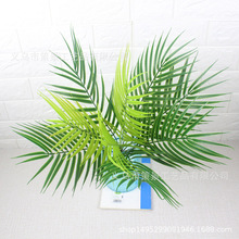 �F؛���R�d����W����Gֲ9�^ɢβ�������҃ȼҾӔ[�O�b��F��